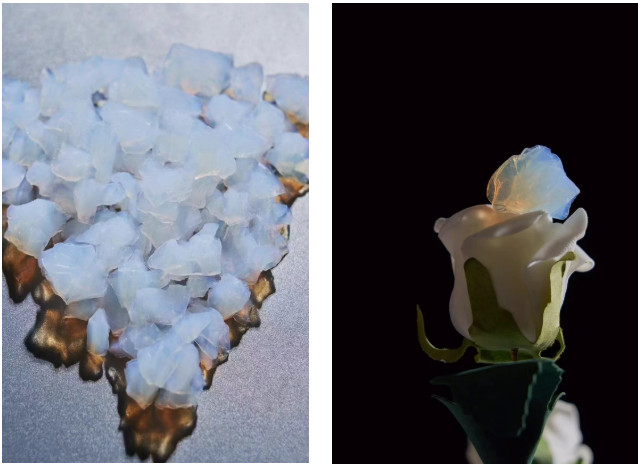 2025-11-10_093519.jpg 2025-11-10_093519.jpg